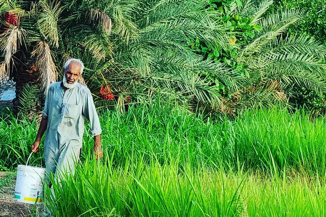 Full-Day Tour Around Masfoot and Hatta Mountain With Honey Bee Discovery Centre - Tour Highlights