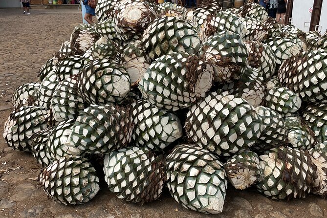 Full-Day Tour at a Tequila Factory and Cantaritos El Gúero - Tequila Factory Experience