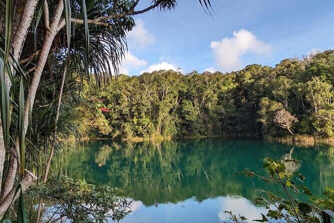 Full-day Tour at the Atherton Tablelands with Food Tasting - Good To Know