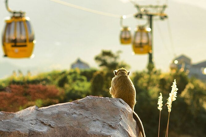 Full-Day Tour Ba Na Hills Da Nang - Common Questions