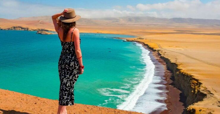 Full Day Tour Ballestas Islands & Paracas National Reserve - Tour Details and Highlights