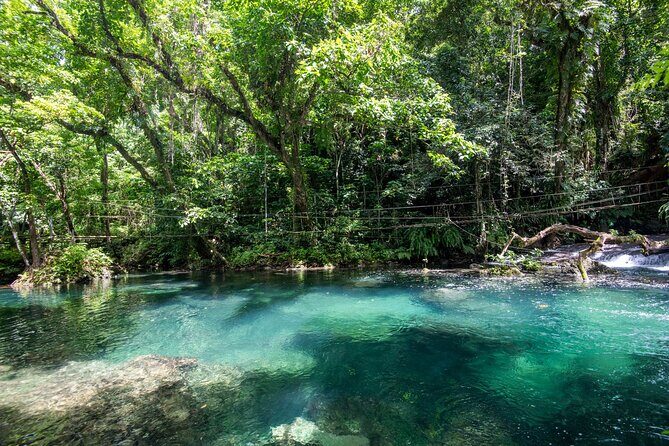 Full Day Tour Cascades Adventure, Turtles and Blue Lagoon - Authentic Traveler Insights