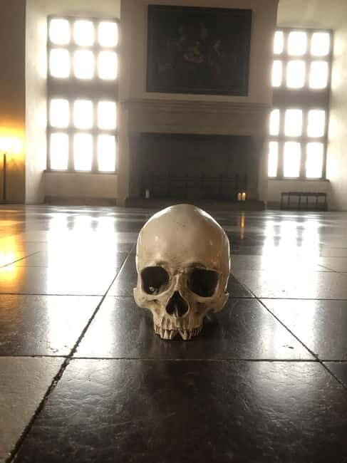 Full-Day Tour; Castle, Palace, Cathedral and Viking Ships - Who Will Love This Tour?