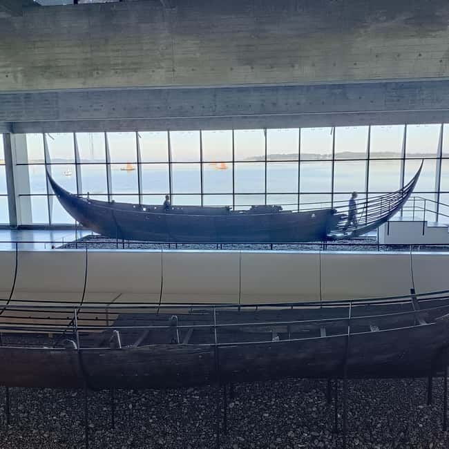 Full-Day Tour; Castle, Palace, Cathedral and Viking Ships - Who Is This Tour Best For?