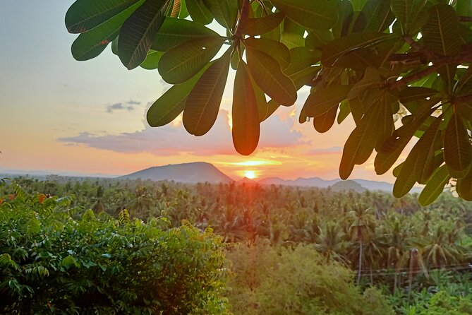 Full-Day Tour - City & Countryside, Old Bamboo Train, Secret Bat Cave & Sunset - City Tour Highlights