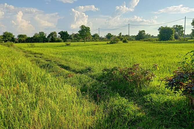 Full-Day Tour - City & Countryside, Old Bamboo Train, Secret Bat Cave & Sunset - Countryside Exploration