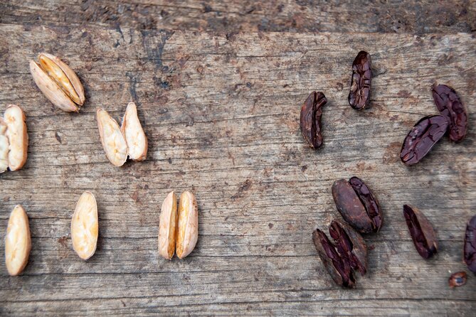 Full-Day Tour: Cocoa Farm Experience in the Jungle of Cusco - Common Questions