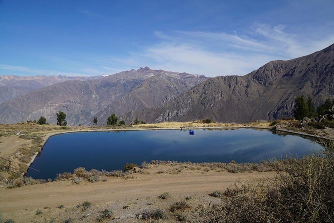 Full Day Tour / Colca Canyon - Tips for a Successful Tour