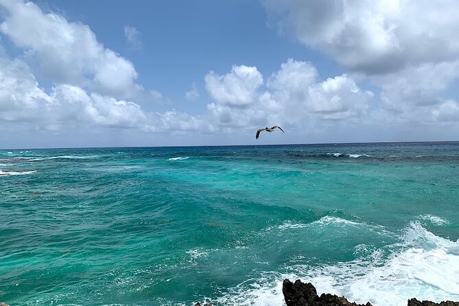 Full-Day Tour Cozumel in Catamaran With Snorkel and Club Playa Mia - Snorkeling Experience