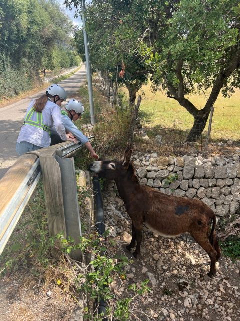 Full Day Tour: E-scooter and Wine Experience Mallorca - Experience Description