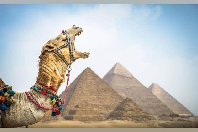 Full Day Tour Egyptian Museum and Giza Pyramids - Insider Tips for Exploring