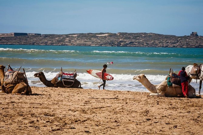 Full Day Tour Essaouira Day Tour From Marrakech - Good To Know