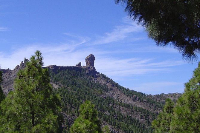 Full-Day Tour Exploring History, Nature and Aloe Vera Farm - Cancellation Policy