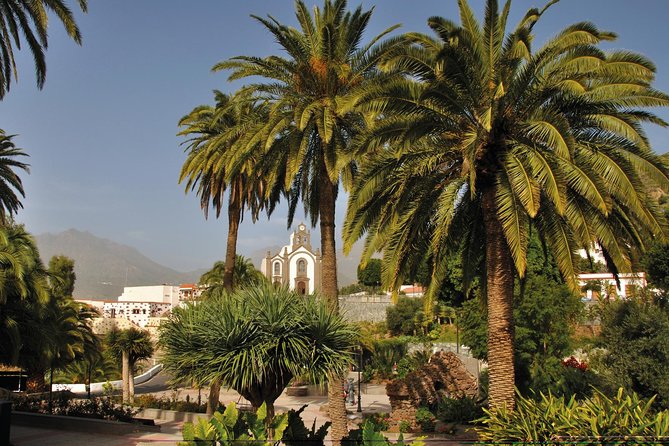 Full-Day Tour Exploring History, Nature and Aloe Vera Farm - Viator Help Center and Product Code
