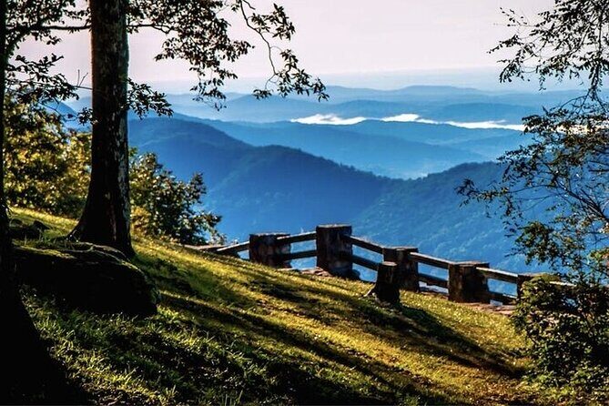 Full Day Tour from Atlanta to Amicalola Falls and Blue Ridge - What Travelers Love About This Tour