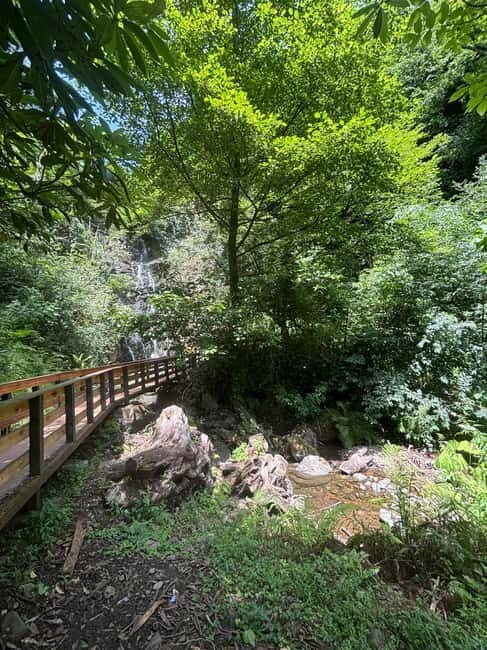 Full Day Tour from Batumi to Waterfalls - Good To Know