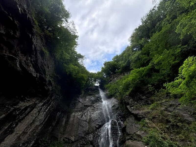 Full Day Tour from Batumi to Waterfalls - Who Will Love This Tour?