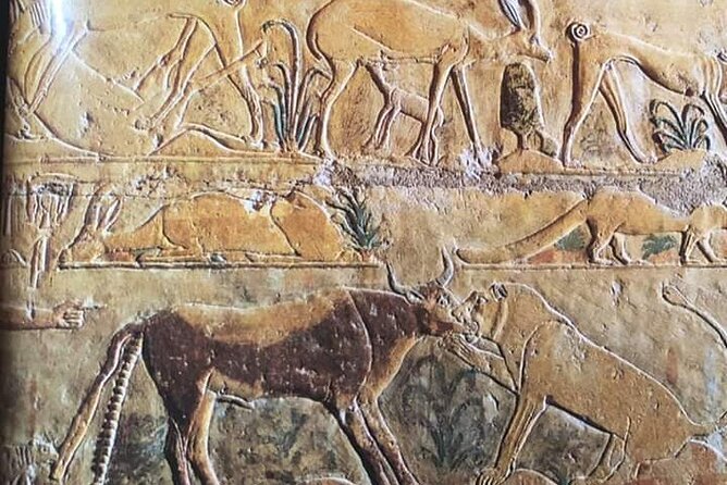 Full-Day Tour From Cairo: Giza Pyramids Sphinx Memphis and Saqqara - Tour Logistics