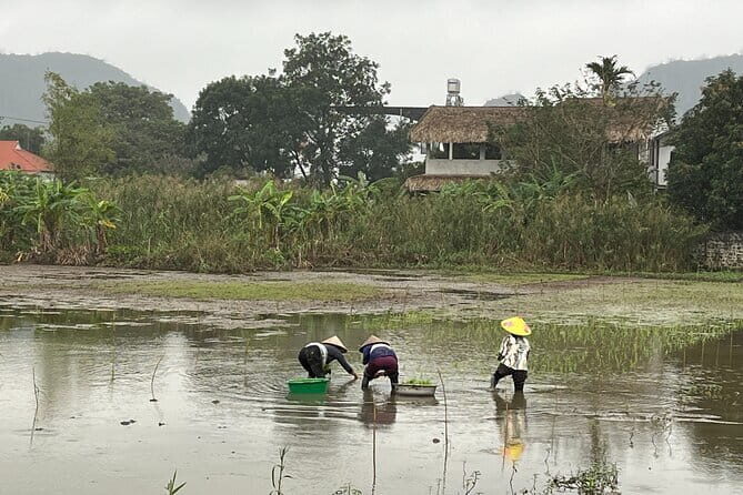 Full Day Tour from Hanoi to Tam Coc - Who Is This Tour Best For?