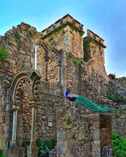 Full-Day Tour From Lisbon to the History of Évora. - Important Information