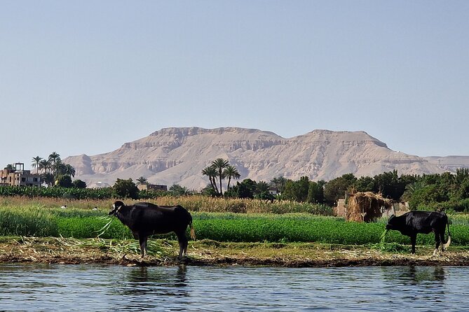 Full Day Tour From Luxor East and West Banks Expedition - Booking Process