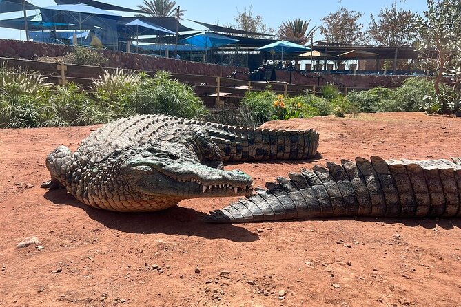 Full-Day Tour From Marrakech to Agadir With Guide Included - Pricing and Guarantee