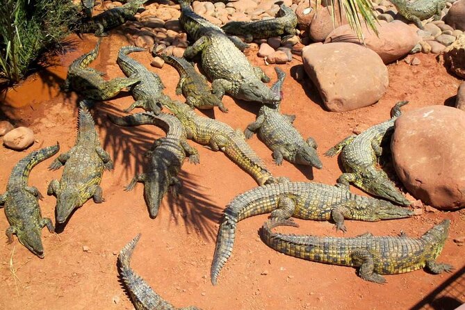 Full-Day Tour From Marrakech to Agadir With Guide Included - Personal Expenses