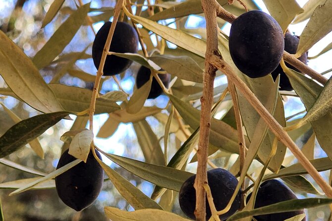 Full Day Tour From Marrakech to Kaskade Ouzod - Lunch and Free Time