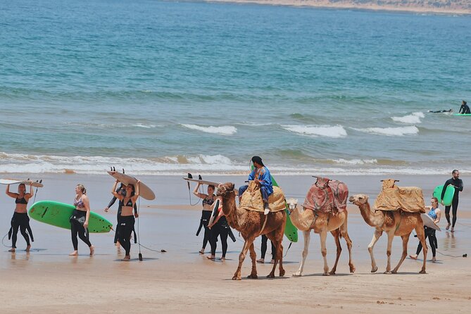 Full Day Tour From Marrakesh to Essaouira With Pickup - Tour Highlights