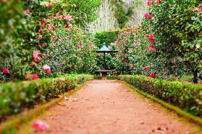 Full Day Tour From Ponta Delgada to Furnas Volcano and Hot Springs - Tour Inclusions