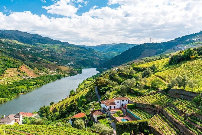 Full Day Tour From Porto To Douro Valley - Tour Highlights
