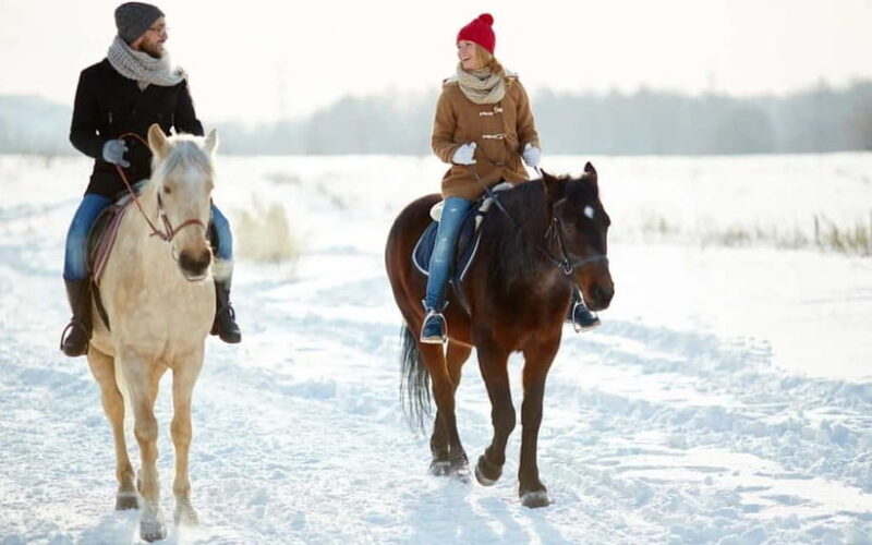 Full-Day Tour from Tashkent: Amirsoy, Chimgan & Charvak - Transportation and Duration: Comfort Matters