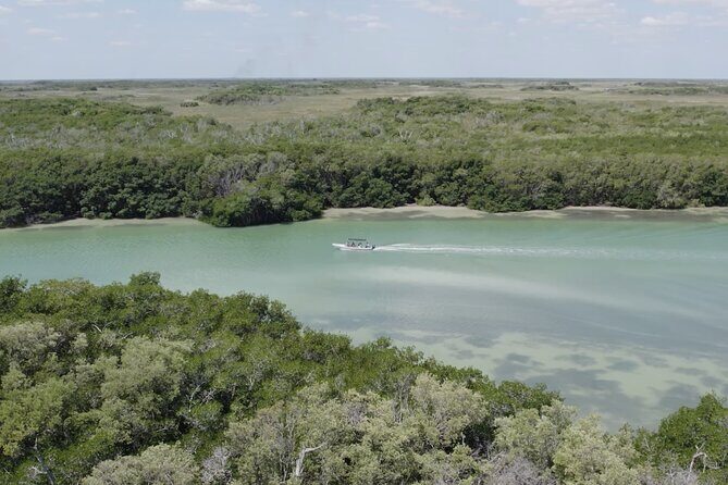 Full Day Tour from Tulum to Rio Lagartos - A Detailed Look at the Tour Experience