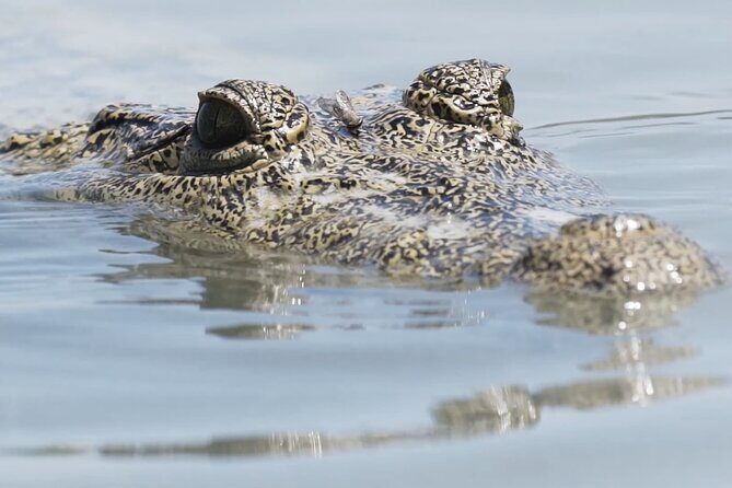 Full Day Tour from Tulum to Rio Lagartos - Final Thoughts