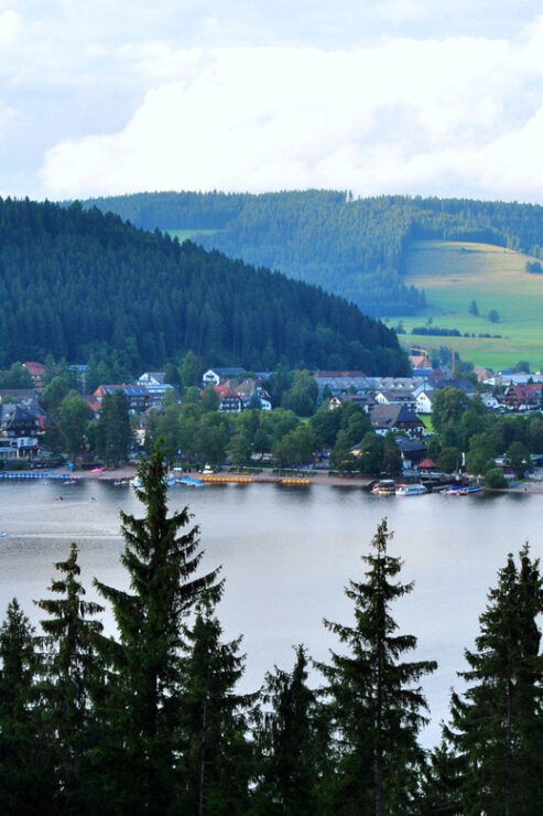 Full-Day Tour From Zurich to Lake Titisee Black Forest - Travel Details