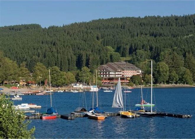 Full-Day Tour From Zurich to Lake Titisee Black Forest - Activities at Lake Titisee
