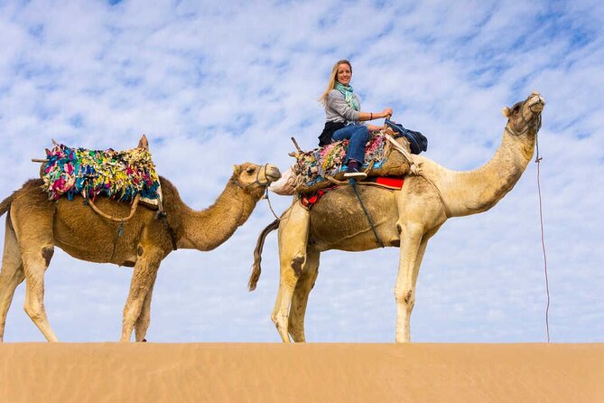 Full Day Tour Giza Pyramids Sphinx &Lunch and Shopping Tour - Transportation and Logistics
