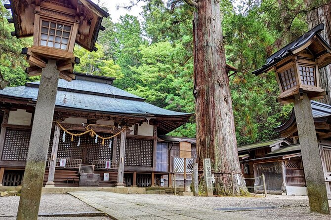 Full-Day Tour: Immerse in Takayamas History and Temples - Cultural Significance of Takayamas History