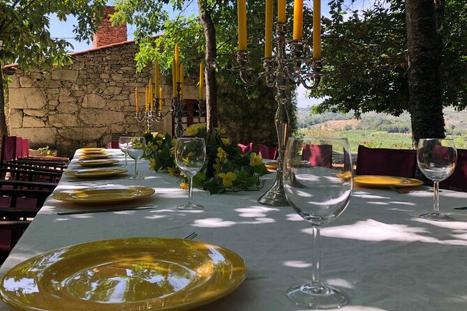 Full Day Tour in Alto Douro Wine Region With Lunch - Accessibility Information