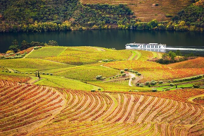 Full Day Tour in Alto Douro Wine Region With Lunch - The Sum Up