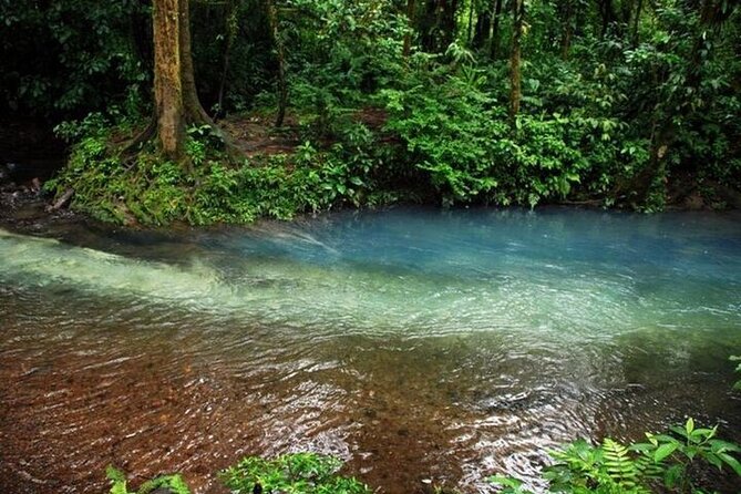 Full Day Tour in Arenal Volcano National Park - Booking and Cancellation Policy
