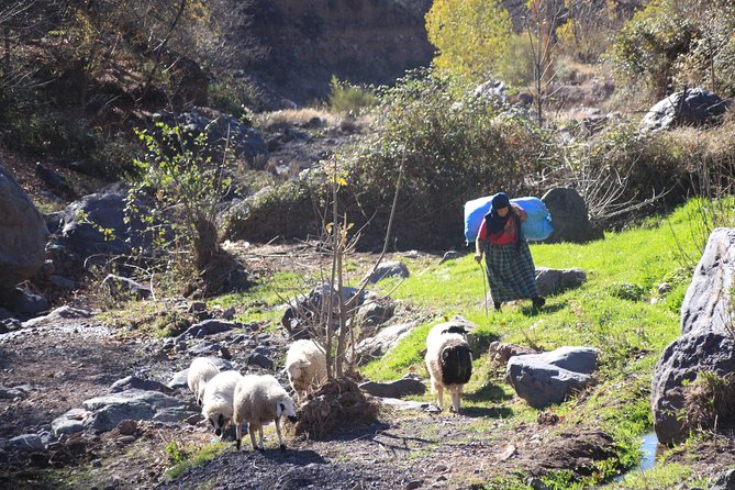 Full-Day Tour in Atlas Mountain From Marrakech With Lunch - Tour Overview