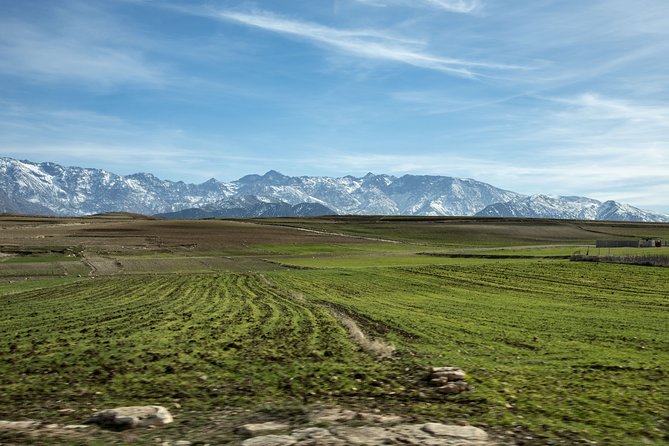 Full-Day Tour in Atlas Mountain From Marrakech With Lunch - Traveler Reviews and Ratings