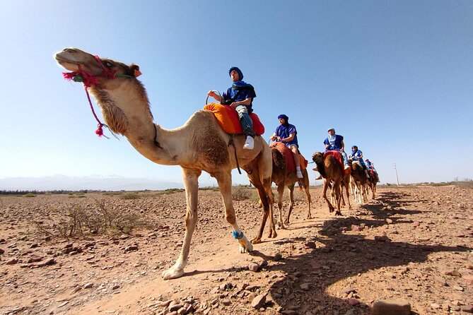 Full Day Tour in Atlas Mountains From Marrakech - Good To Know