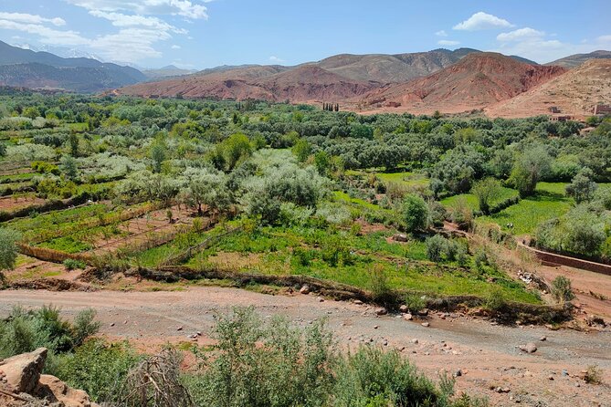 Full Day Tour in Atlas Mountains From Marrakech - Transportation