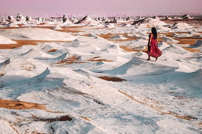 Full Day Tour in Bahariya Oasis and Black & White Desert With Lunch - Lunch Inclusions