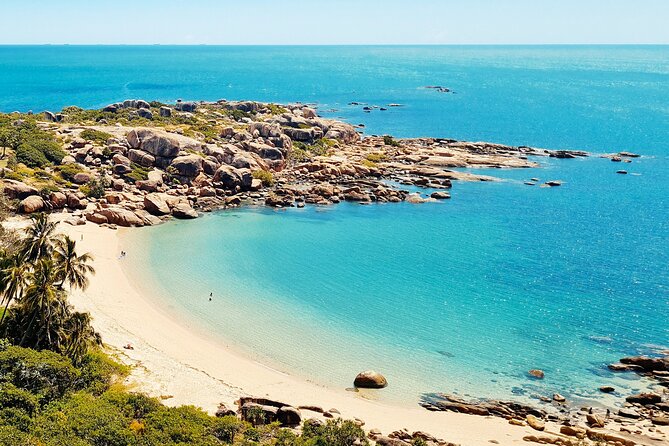 Full-Day Tour in Bowen Beach - Customer Reviews