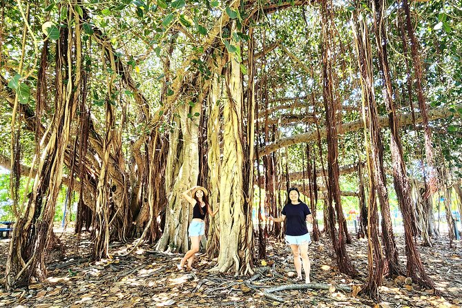 Full-Day Tour in Bowen Beach - Recommended Activities