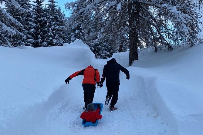 Full Day Tour in Dolomites From Venice - Frequently Asked Questions