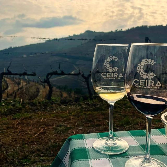 Full Day Tour in Douro: Sightseeing, Wine Tasting and Lunch - Language and Cancellation Policy